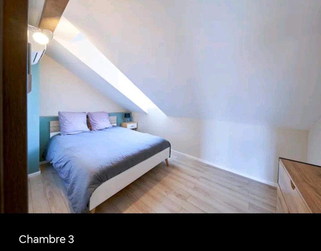 Loft Neuf Avec Bain Jacuzzi Et Terrasse Appartement Colmar Buitenkant foto