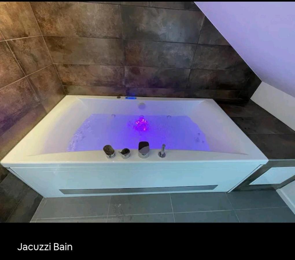 Loft Neuf Avec Bain Jacuzzi Et Terrasse Appartement Colmar Buitenkant foto